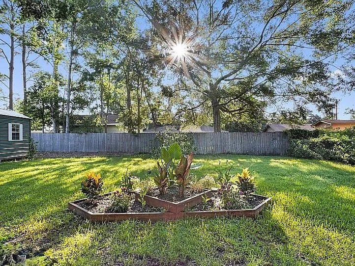Rear Yard View 4