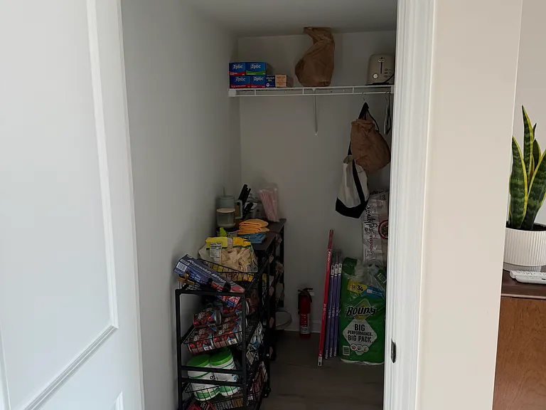 downstairs extra storage closet