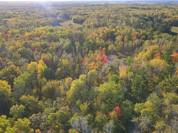 XXX Us 71, Park Rapids, MN 56470