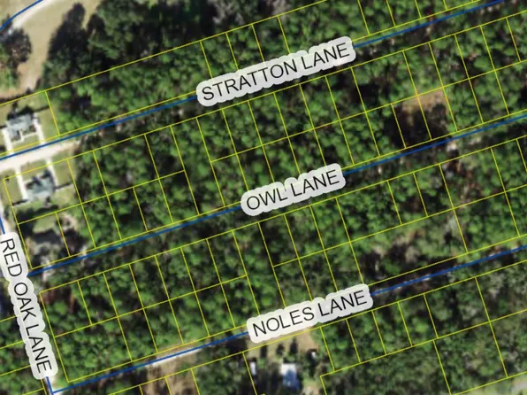 Xx Owl Ln, Crawfordville, FL 32327