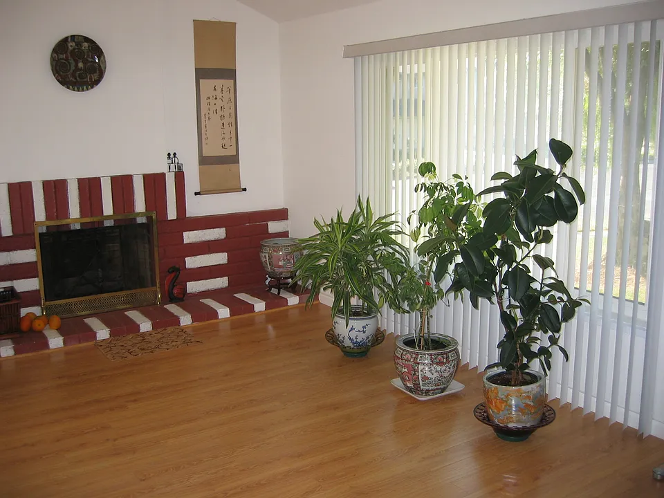 448 Avenida Del Roble