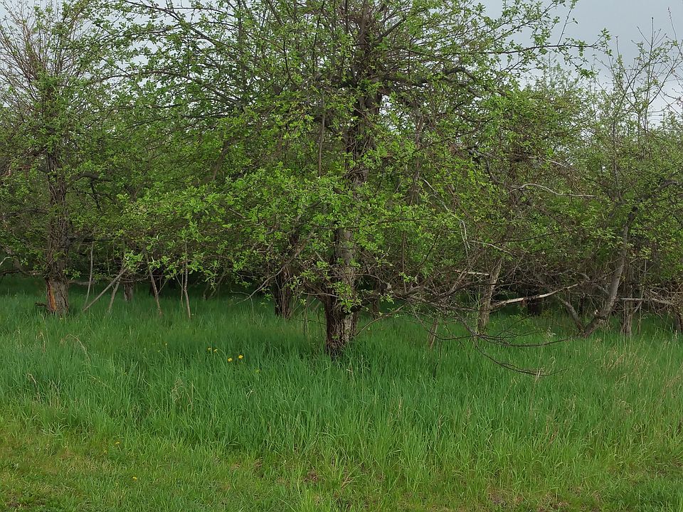 1st image of 45749 County Road 374