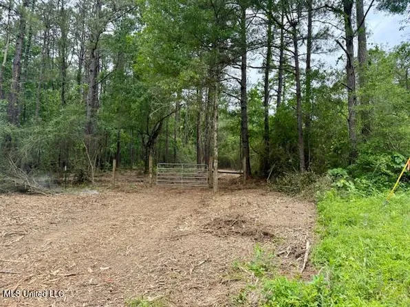 Mount Herman Rd, Osyka, MS 39657