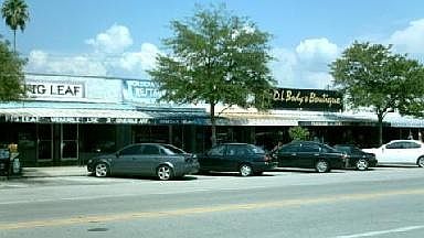Davis Island Village