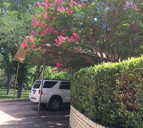 4th image of 502 Willow Cir