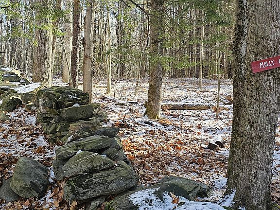 5th image of 430 E Side Trail