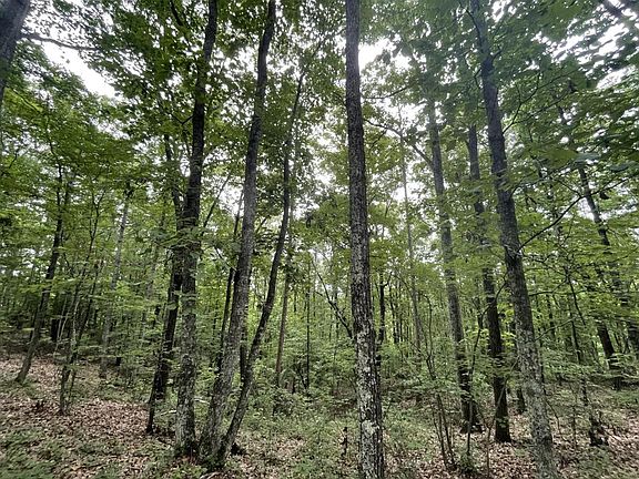 Colburn Mountain Estate Site