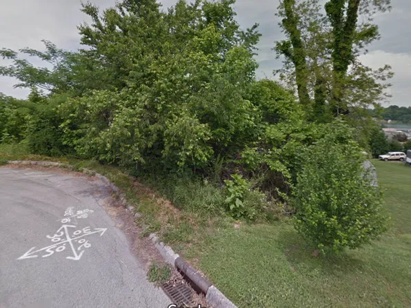 1106 Appletree Ct, Gray, TN 37615