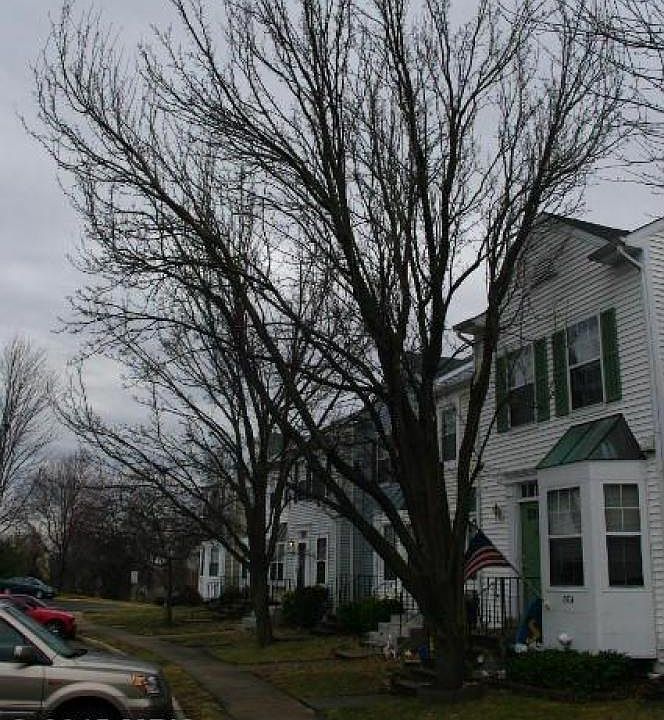 1st image of 13934 Preacher Chapman Pl