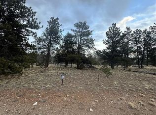 72 Sulky Ct, Hartsel, CO 80449