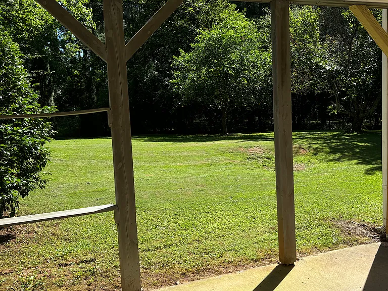 Serene backyard