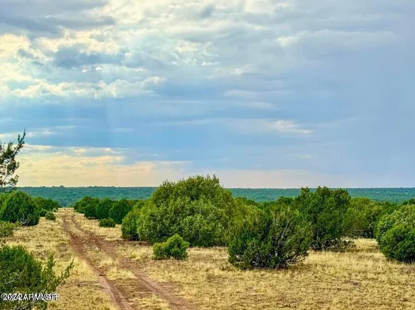 Lot C-4 Silver Lake 14 Acres -- #C-4, Show Low, AZ 85901