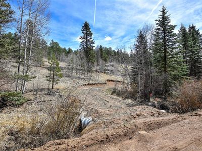 926 W Bison Creek Trail, Divide, CO, 80814