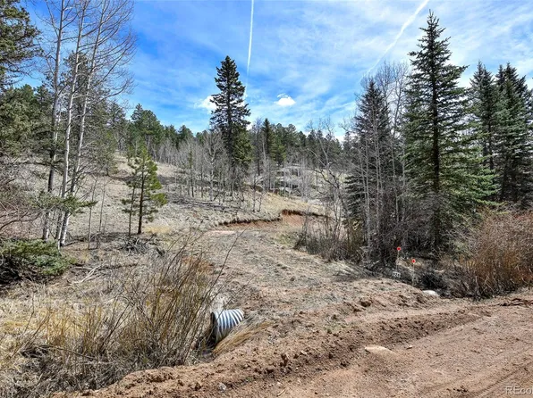 926 W Bison Creek Trail, Divide, CO 80814