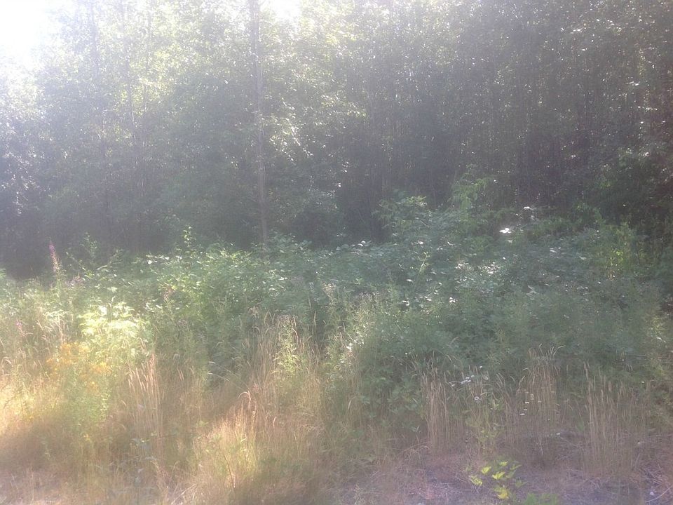 1st image of 8228 19th Ave NE