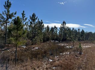 0 Elmer Thrift Rd, Waycross, GA 31503