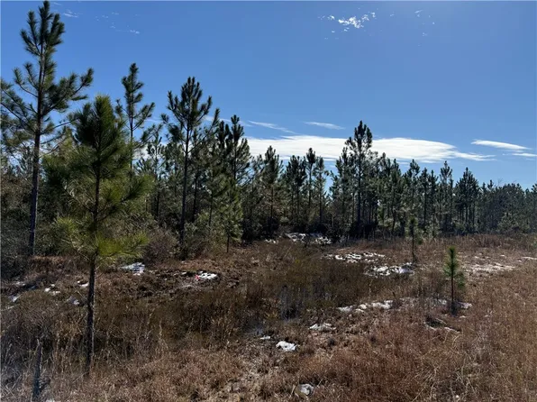 0 Elmer Thrift Rd, Waycross, GA 31503