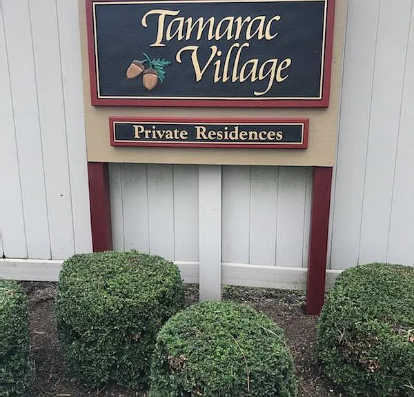 909 Tamarac Dr — Photo 19