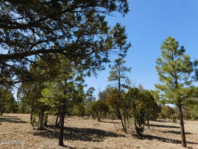 2150 Aztec Cir Lot 170, Happy Jack, AZ, 86024