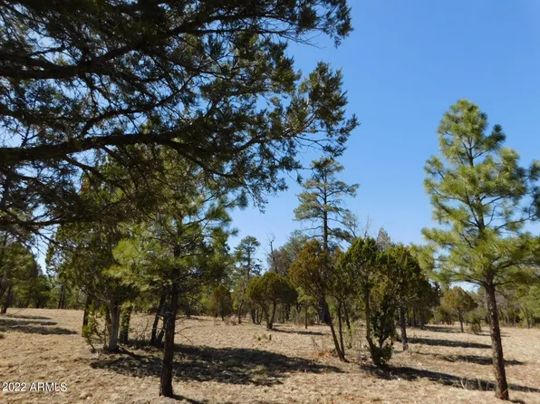 2150 Aztec Circle #170, Happy Jack, AZ 86024