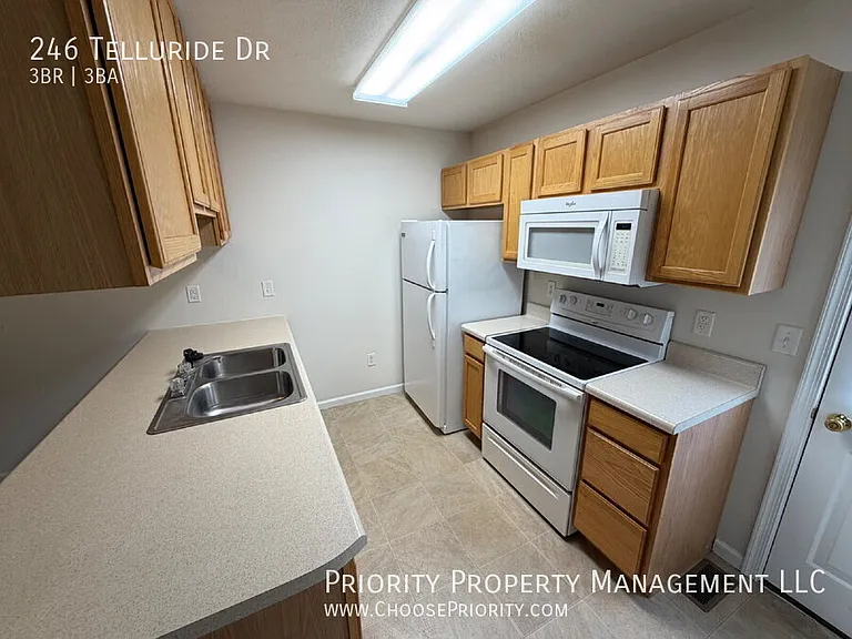 246 Telluride Dr — Photo 5