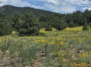 145 Bonanza Rd, Cotopaxi, CO 81223