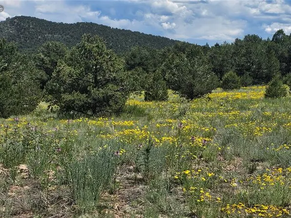145 Bonanza Rd, Cotopaxi, CO 81223