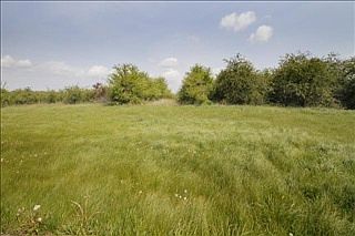 1st image of 56160 W County Road 365