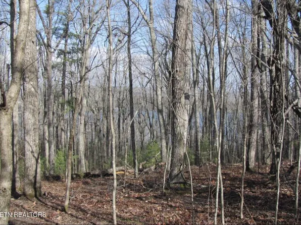 0 Markham Ln Lot 61, Crossville, TN 38558