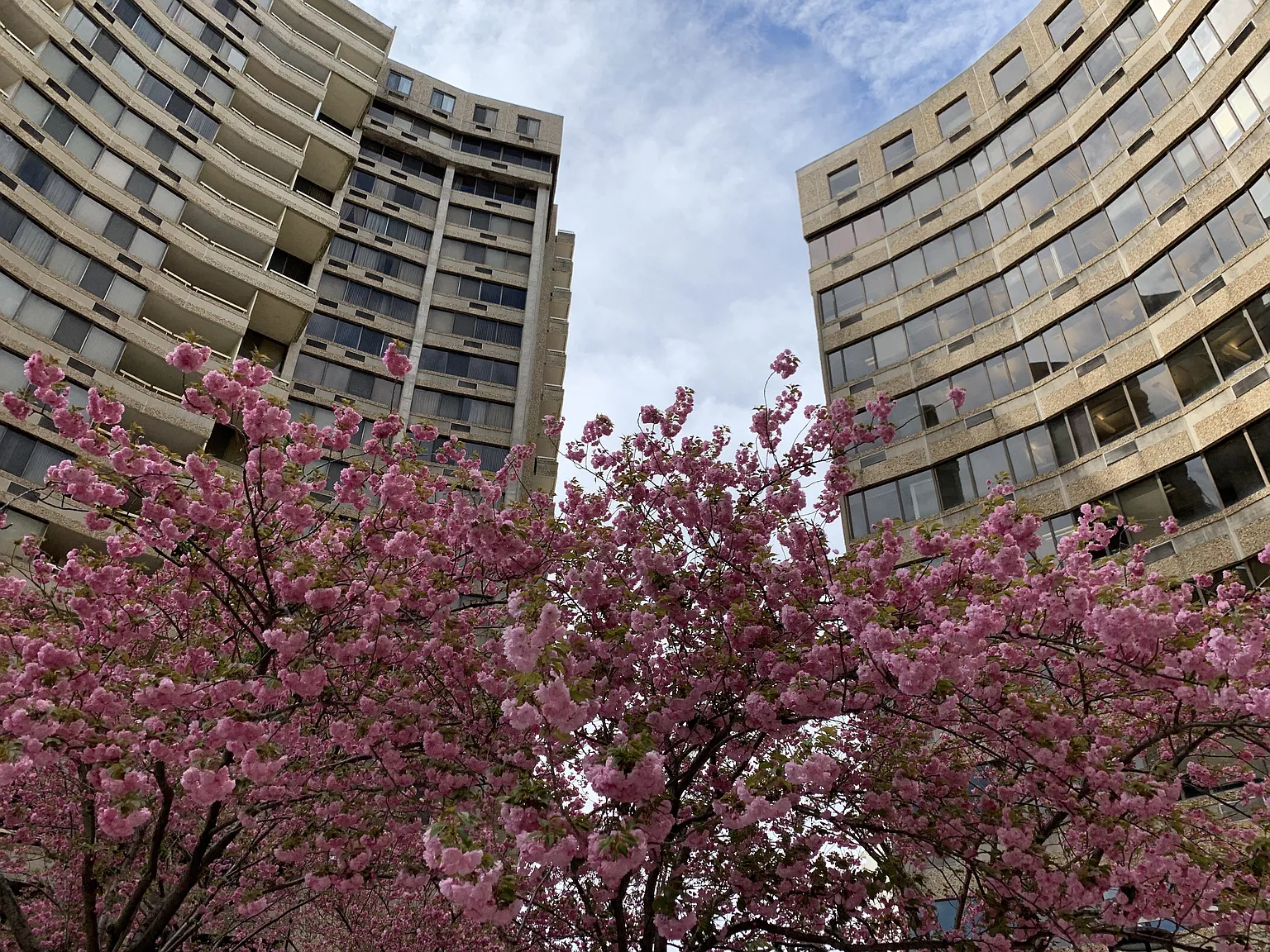 Hampton Plaza Apartments — Photo 1