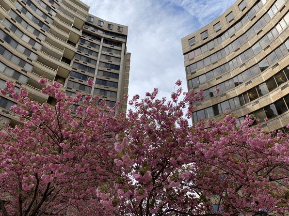 302 E Joppa Rd APT 1208