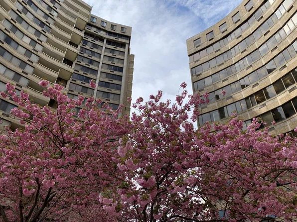 Hampton Plaza Apartments