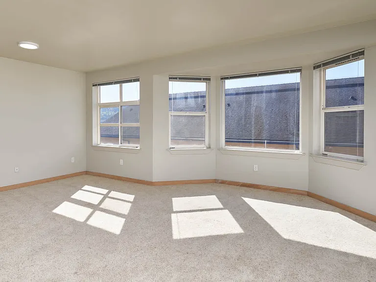 Carpeted Studio
