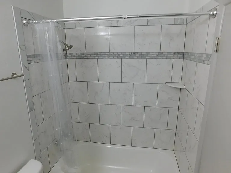 Master bathroom tub and shower
