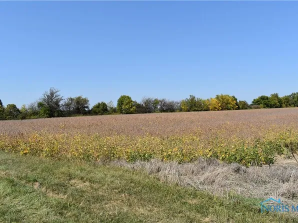 0 Bancroft St, Swanton, OH 43558