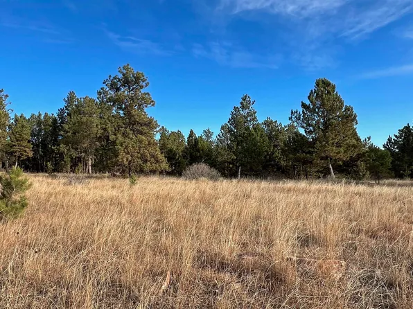 LOT 8 Argyle Rd, Hot Springs, SD 57747