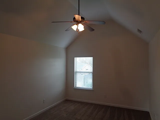 3207 Trinity Grove Dr — Photo 19