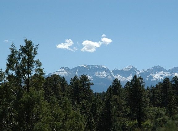 2nd image of Tbd Ponderosa