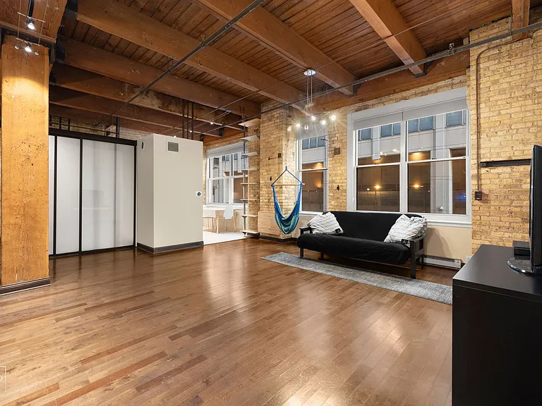 540 N Lake Shore Dr #206 — Photo 3