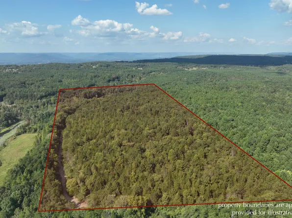 1234 County Road 81, Flat Rock, AL 35966