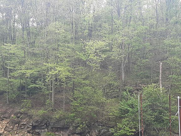 2nd image of 0 Scanlon Hill Rd