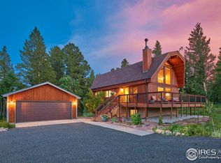 78 Thunder Ridge Rd S, Nederland, CO 80466