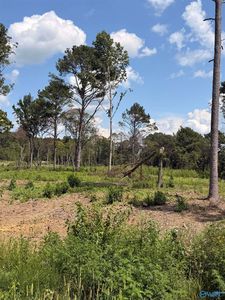 37 County Road 158, Centre AL - Owner Finance Home