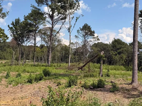 37 County Road 158, Centre, AL 35960
