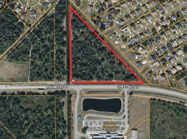 Chestnut St, Kissimmee, FL 34759
