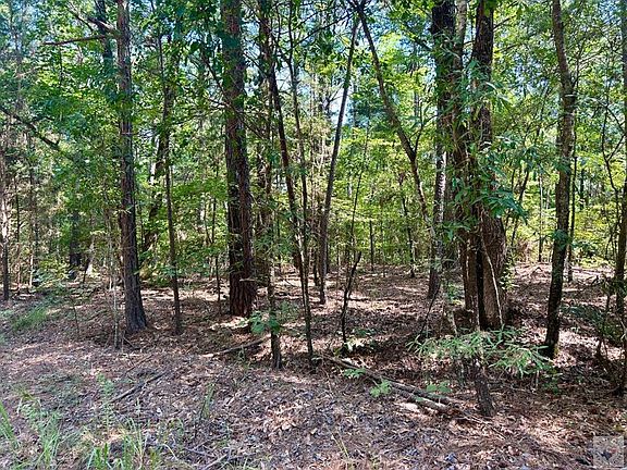 2nd image of County Road 4224
