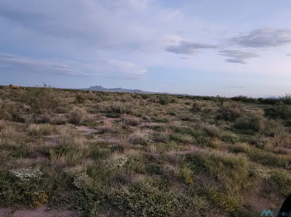 Cayoca Rd SE, Deming, NM 88030