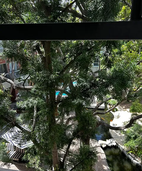 View of pool and koi pond from downstairs