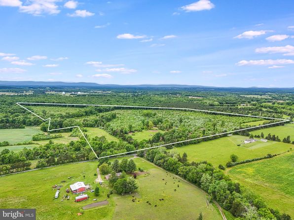 18172 Youngs Ln, Elkwood, VA 22718