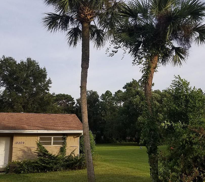 2nd image of 10209 SW 84th Avenue Rd